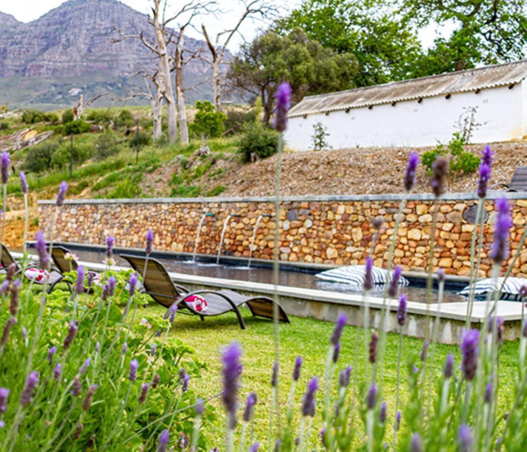 Plaisir Estate Accommodation Simondium Exterior photo